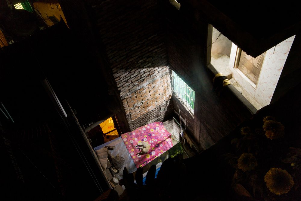 Photograph by Mohammd Asadurjaman Aslam Molla