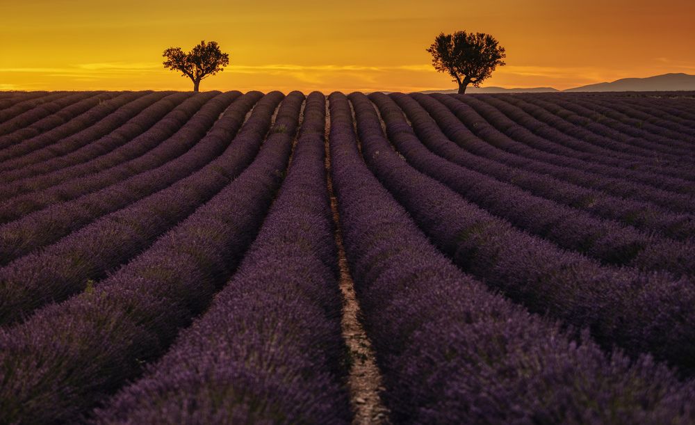 Фотография автора Александр Безмолитвенный