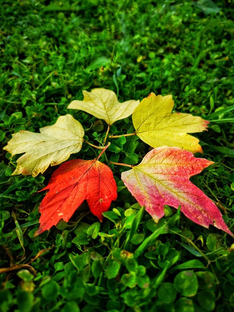 Photograph by Валерий