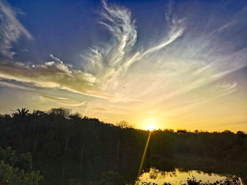 Photograph by Chunhou Poon