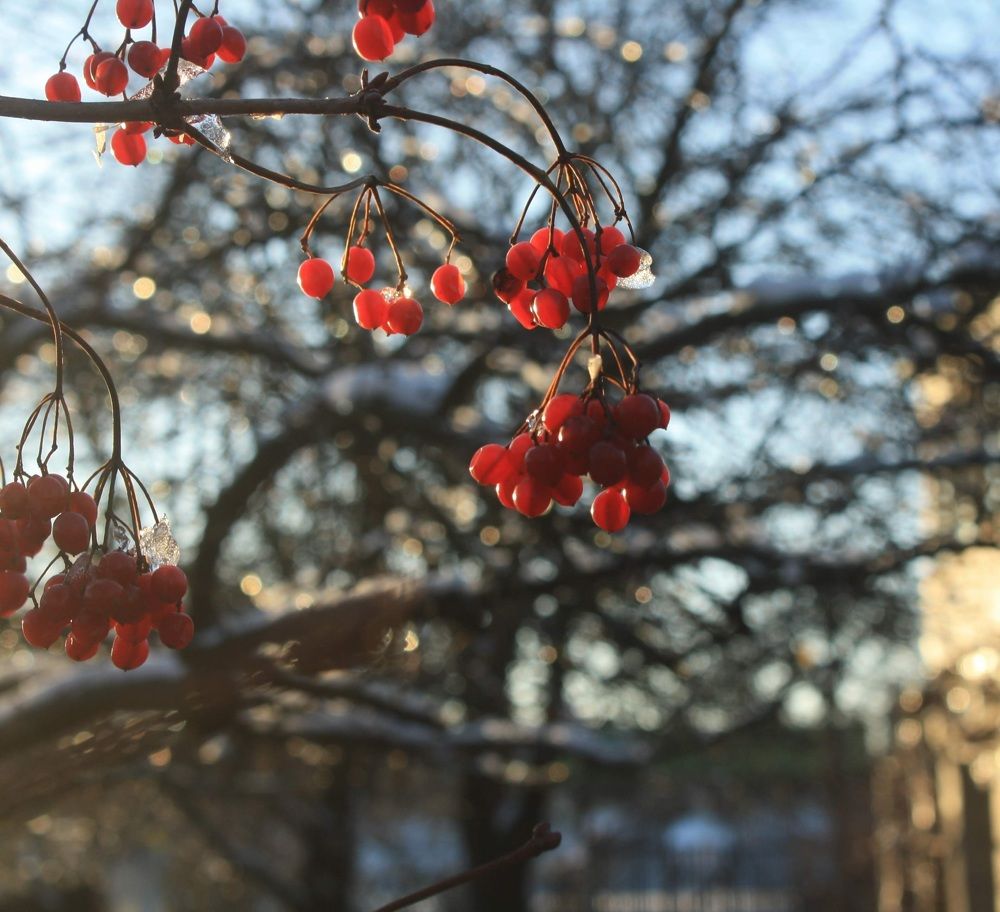 Photograph by Катерина Ребедайло