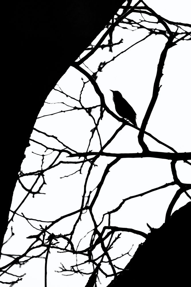 Photograph by Николай Марков