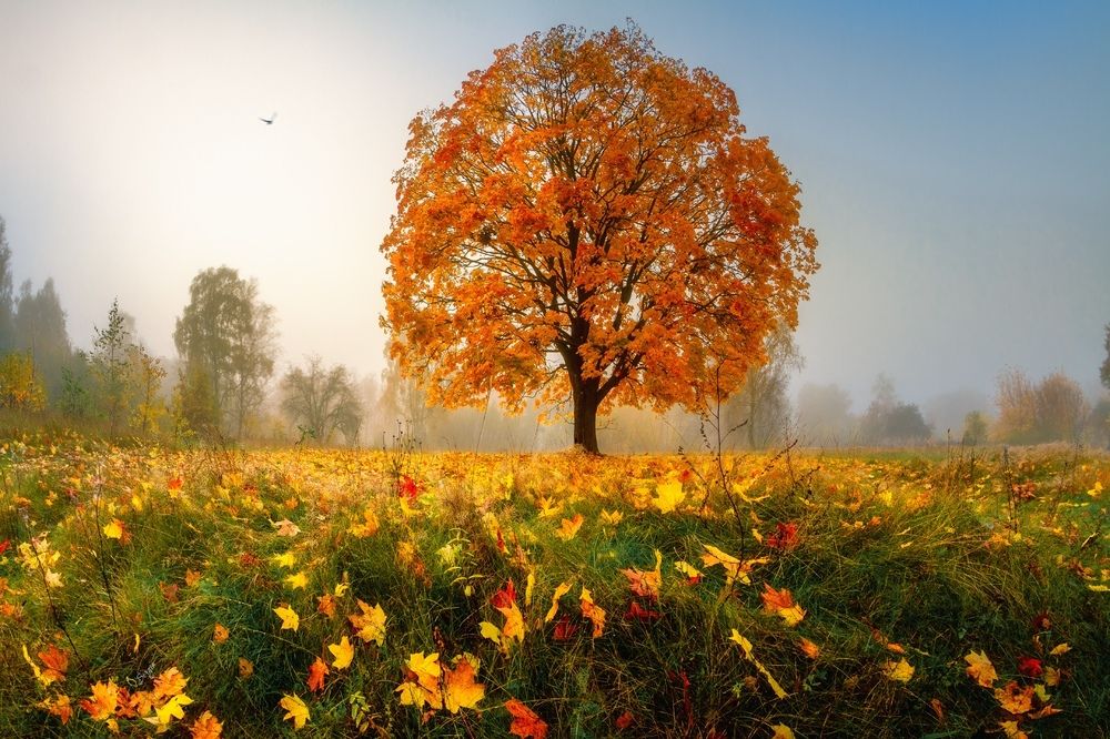 Photograph by Серж Домбровский