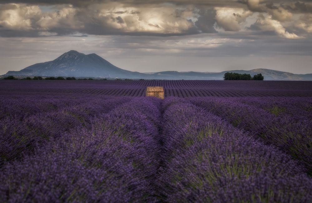 Фотография автора Александр Безмолитвенный