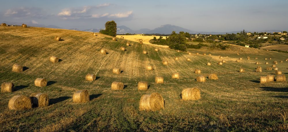 Фотография автора Александр Безмолитвенный