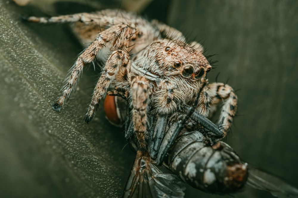 Photograph by mark anthony agtay