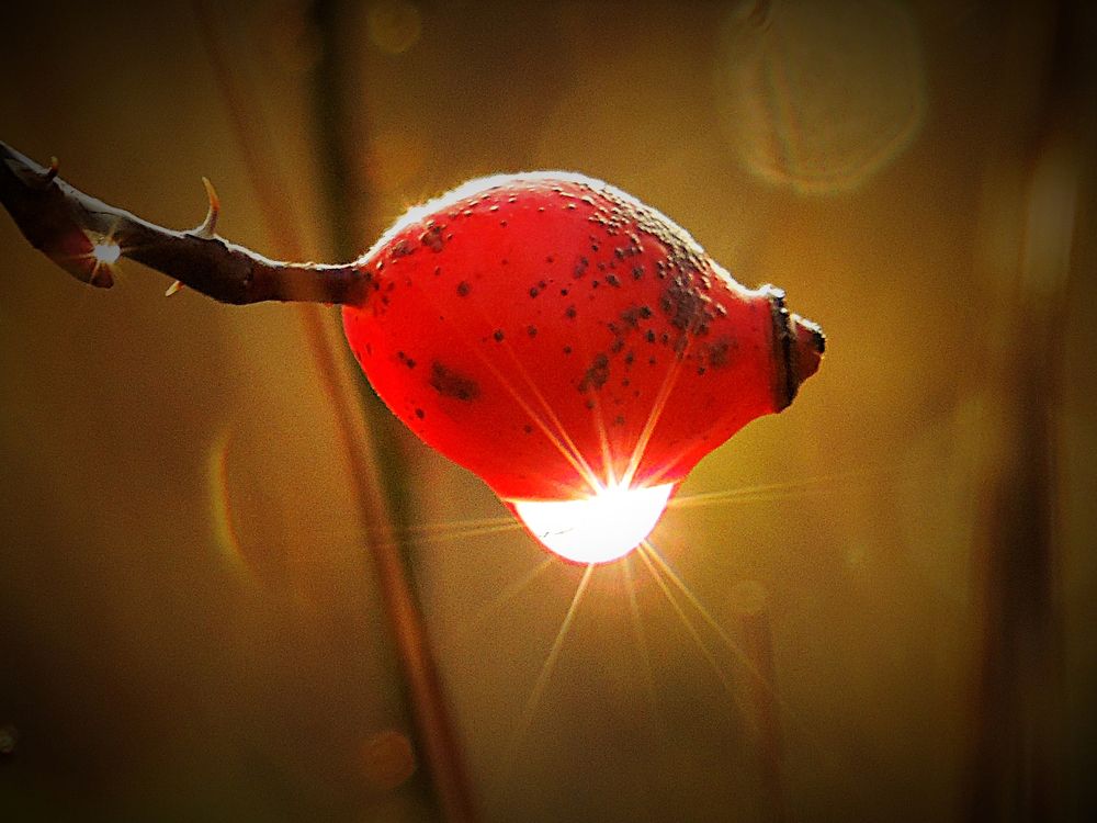 Photograph by Іван Березовський