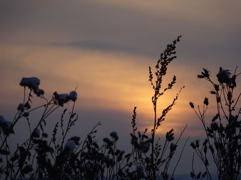 Photograph by Александр