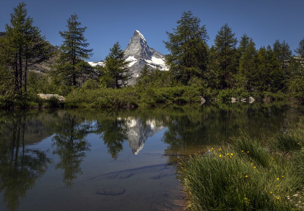 Фотография автора Александр Безмолитвенный