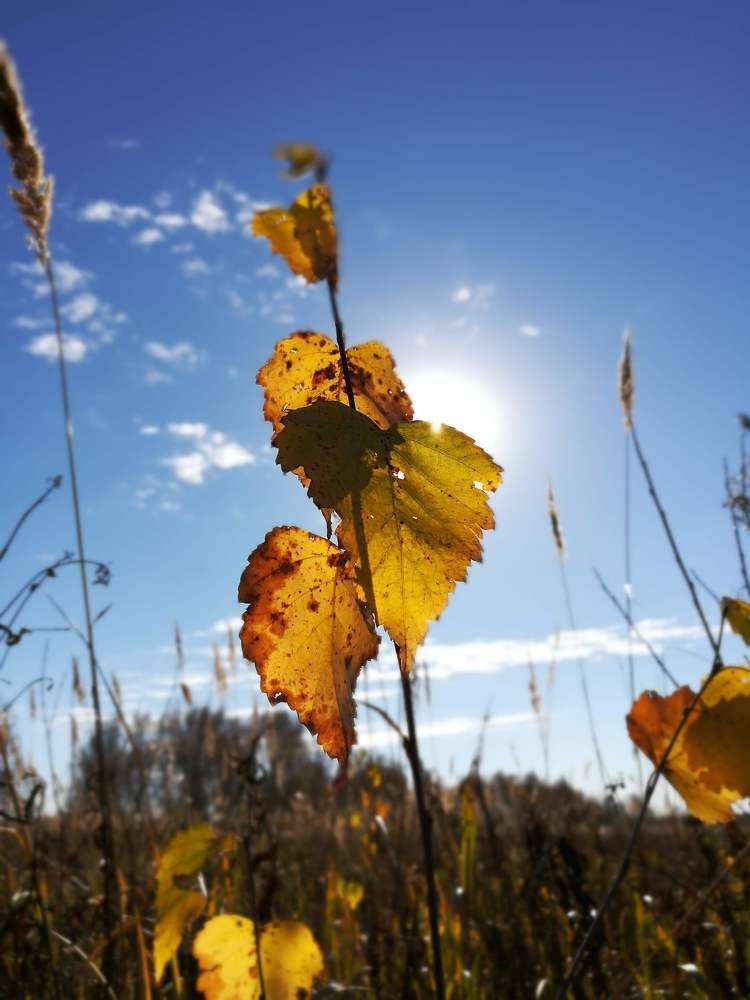 Photograph by Николай Никифоров
