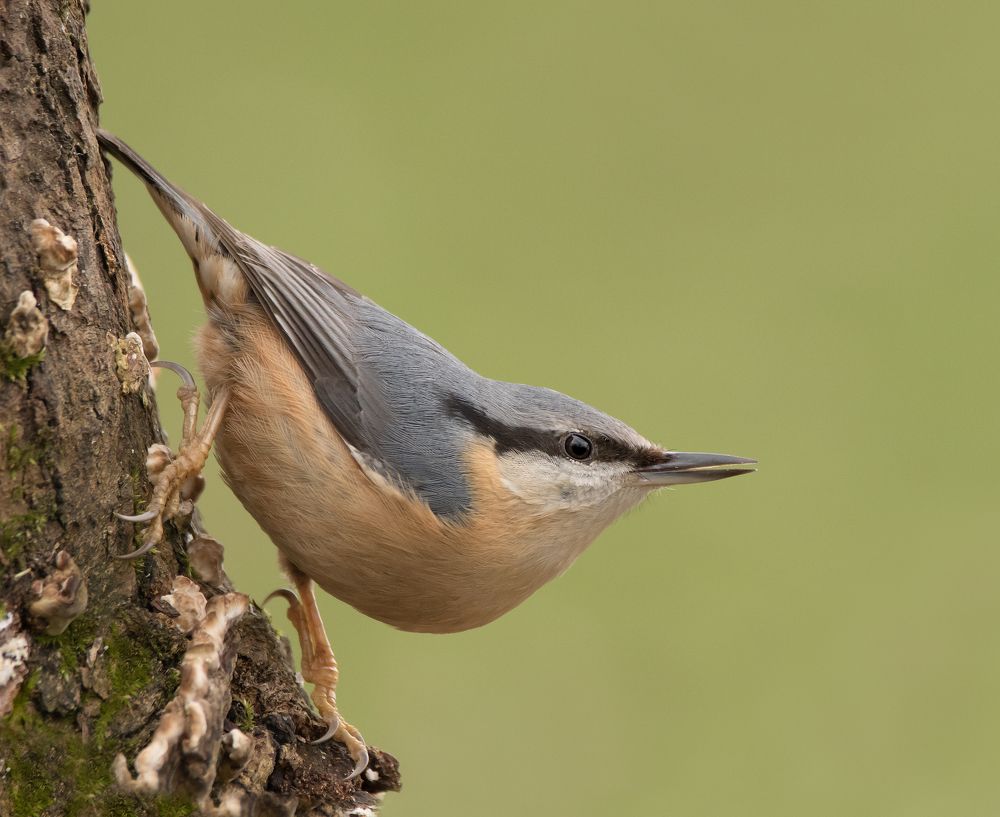 Фотография автора MARIA KULA