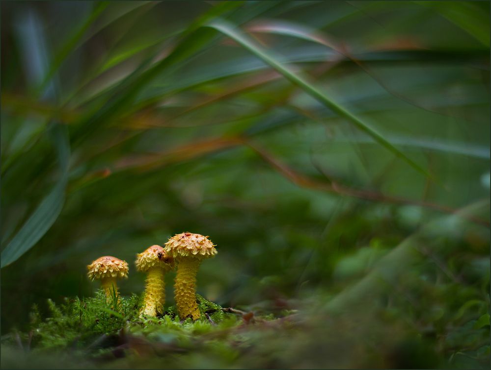 Photograph by Смирнов Андрей