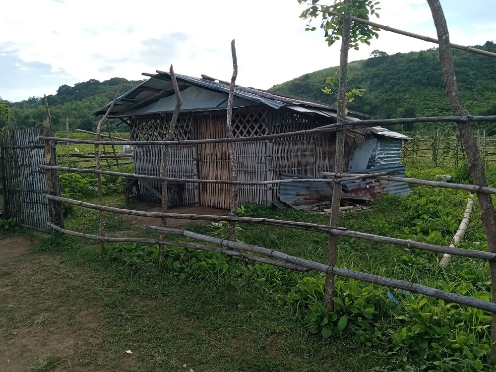 Photo #5818532