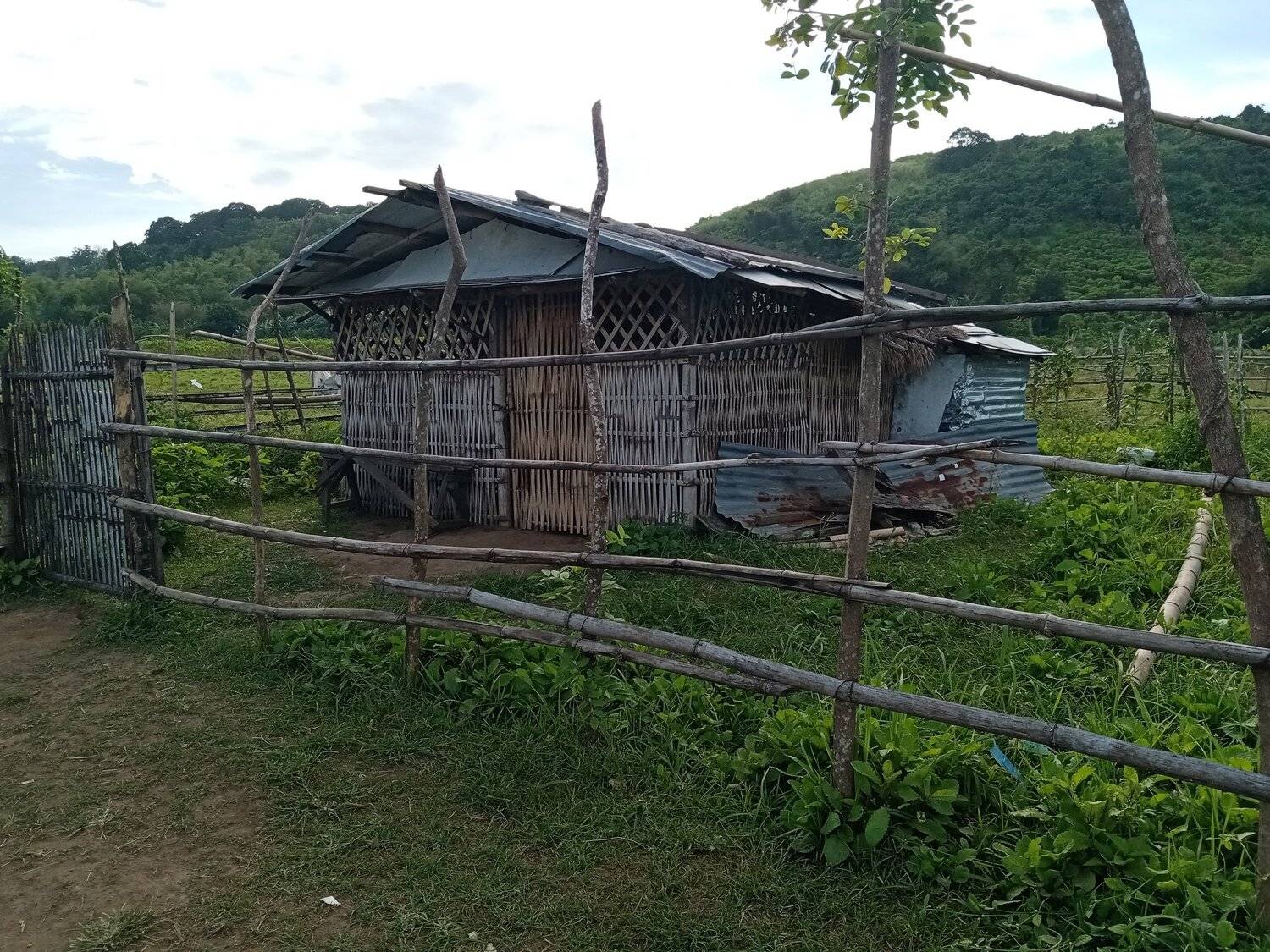 Photo #5818532