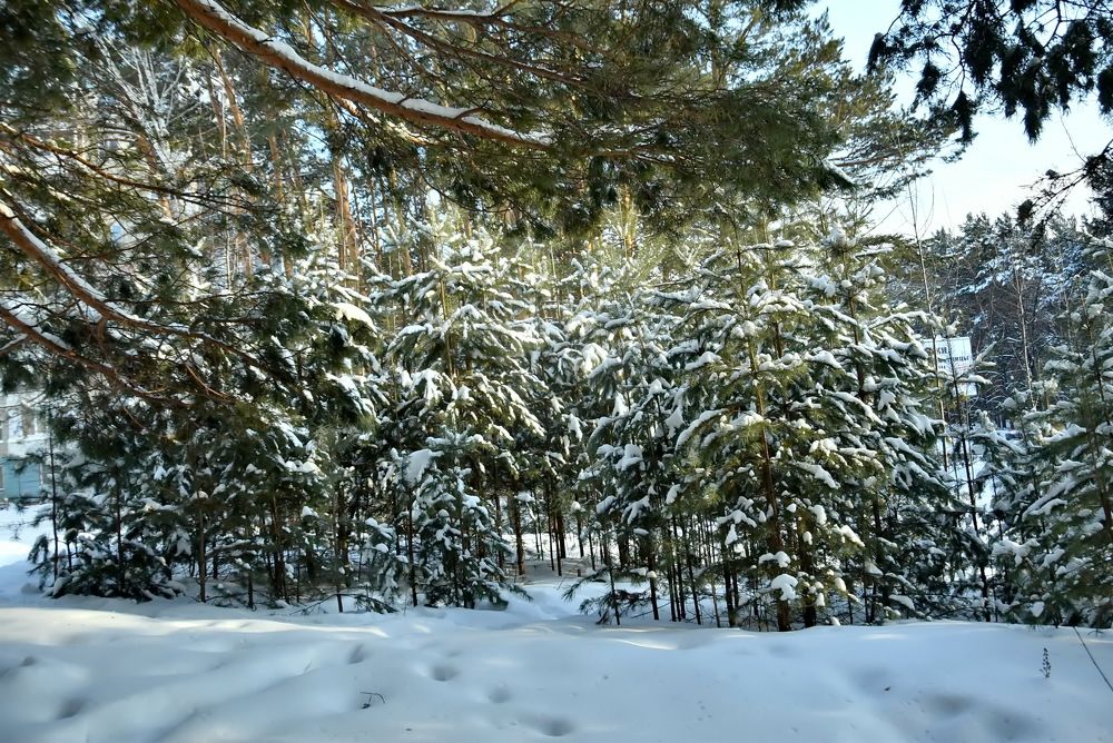 Photograph by НИНА АВЕРЬЯНОВА