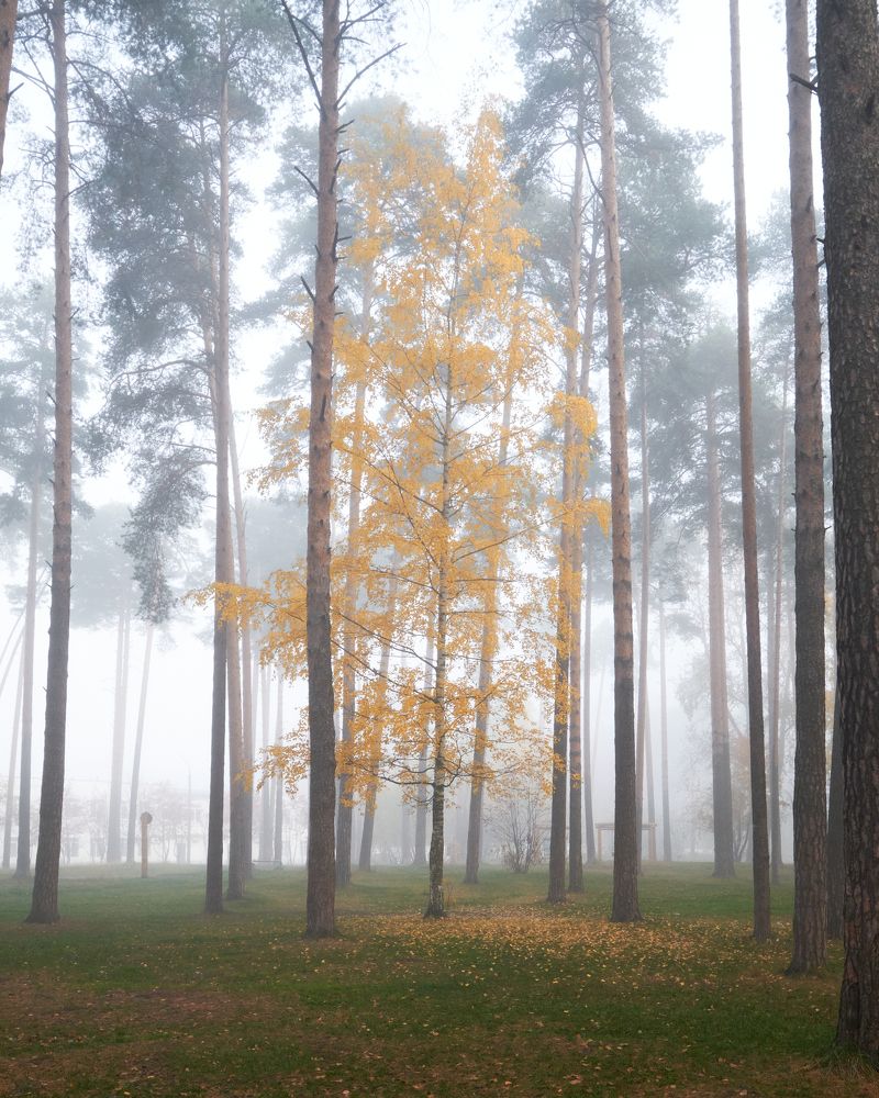 Photograph by Савицкий Ян