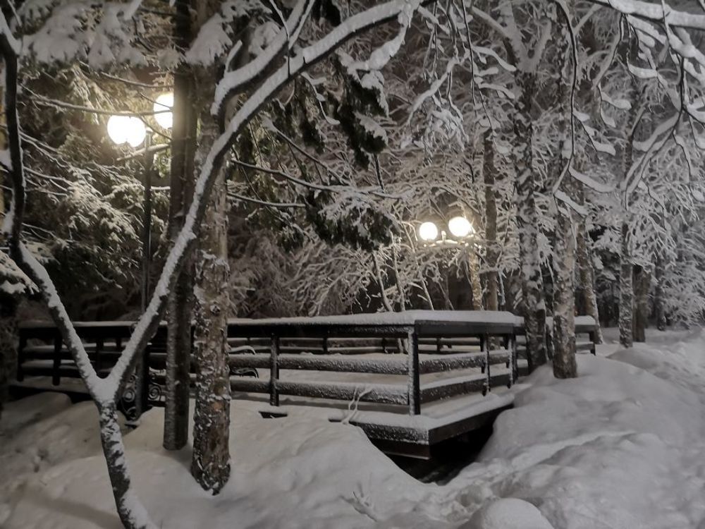 Photograph by Антон