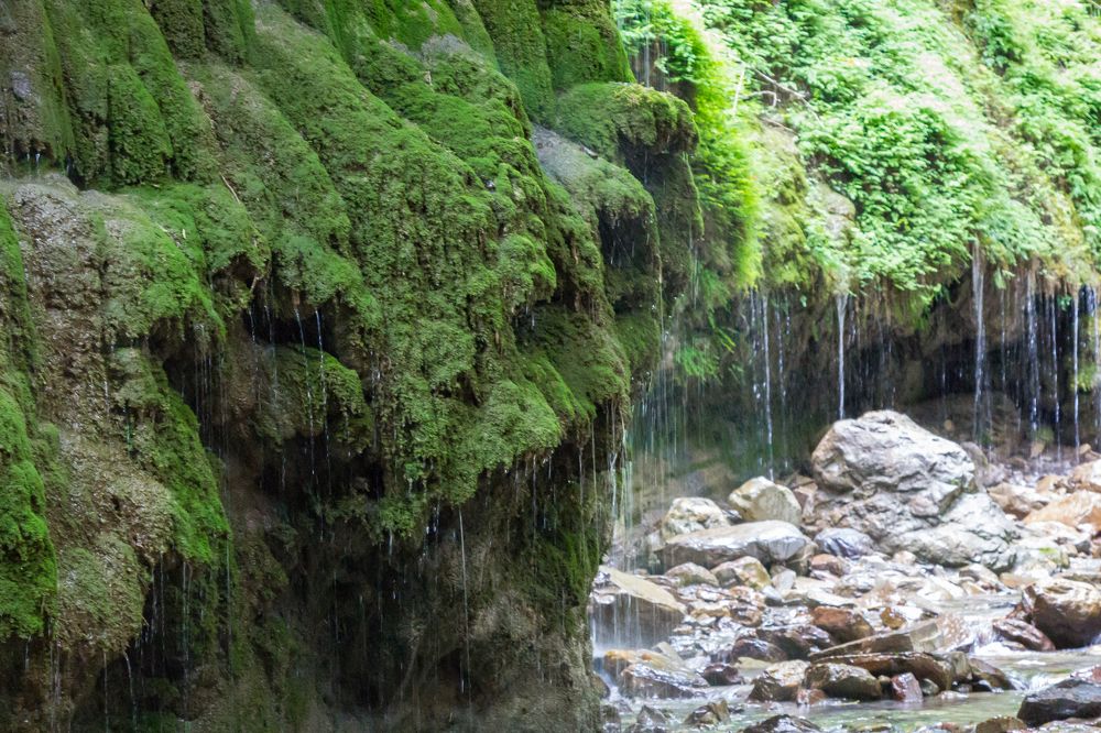 Photograph by Алёна Дегтярёва