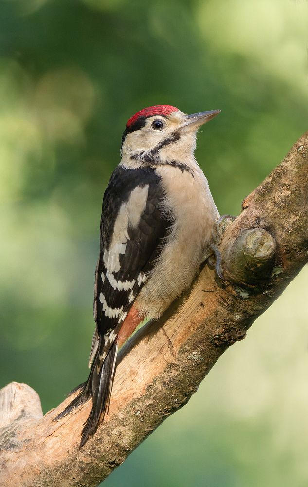 Фотография автора MARIA KULA