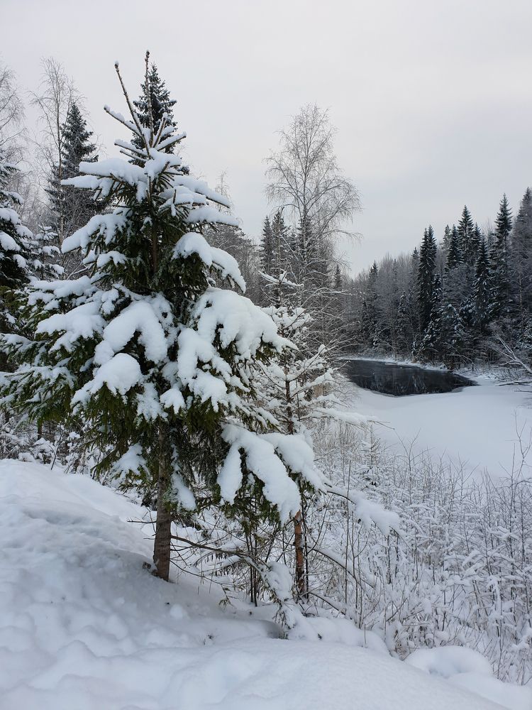 Photograph by Елена Димова