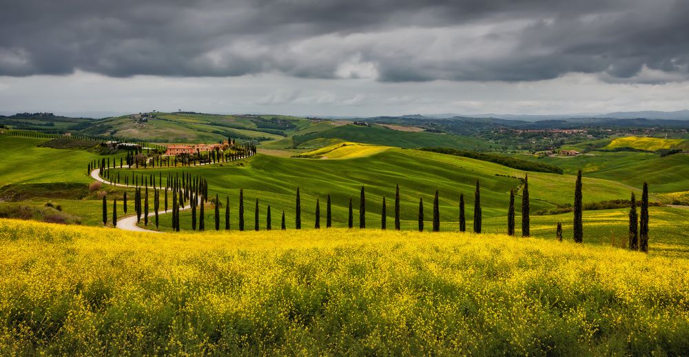 Photograph by Александр Безмолитвенный