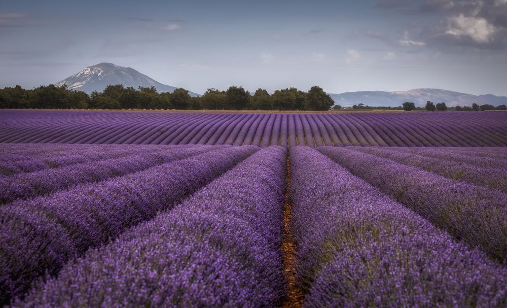 Photograph by Александр Безмолитвенный