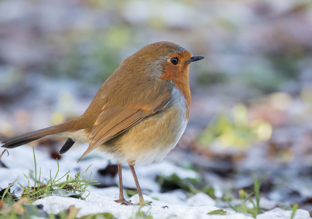 Фотография автора MARIA KULA
