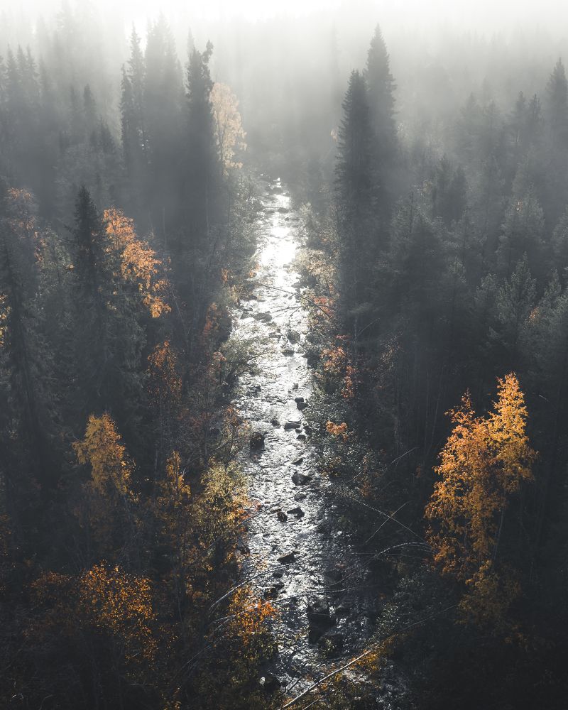 Photograph by Андрей Сачков