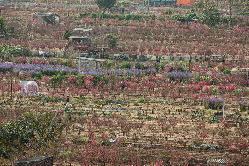 Photograph by Dương Nguyễn