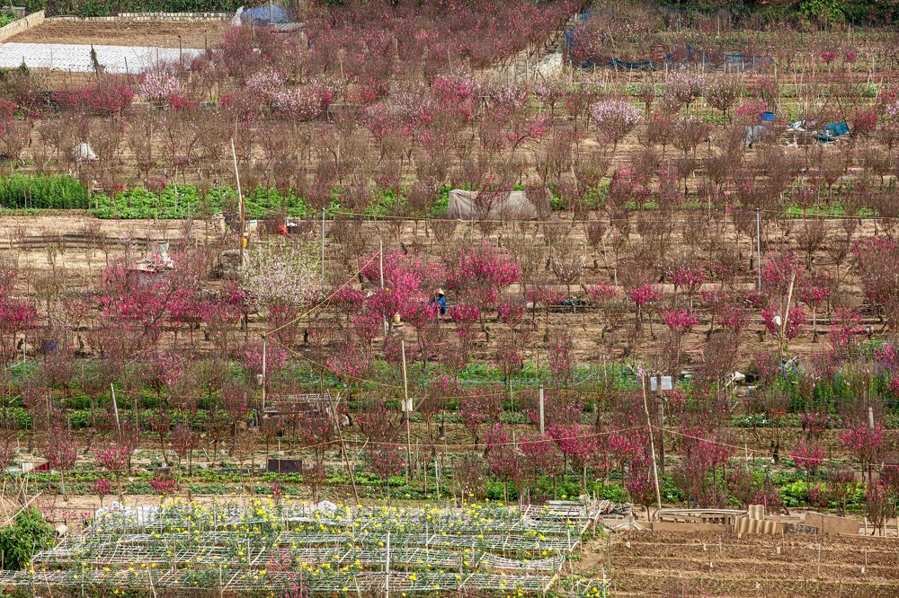 Photograph by Dương Nguyễn