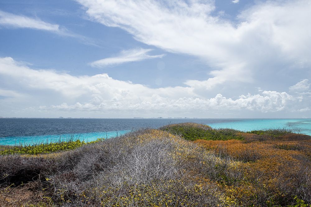 The island color soul