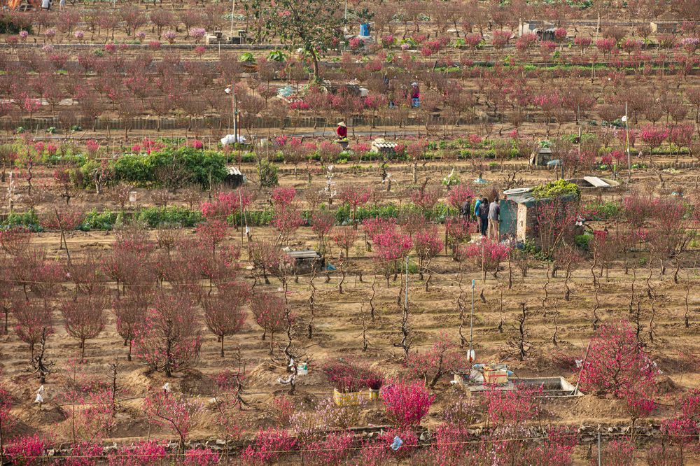 Photograph by Dương Nguyễn