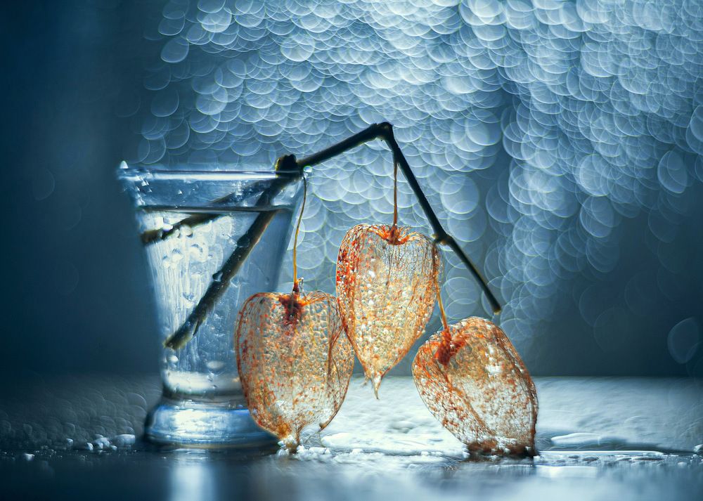 Photograph by Владимир Жуков