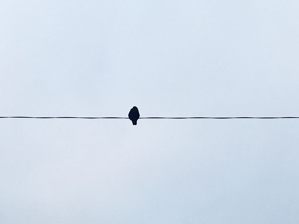 Photograph by Natalya Царева