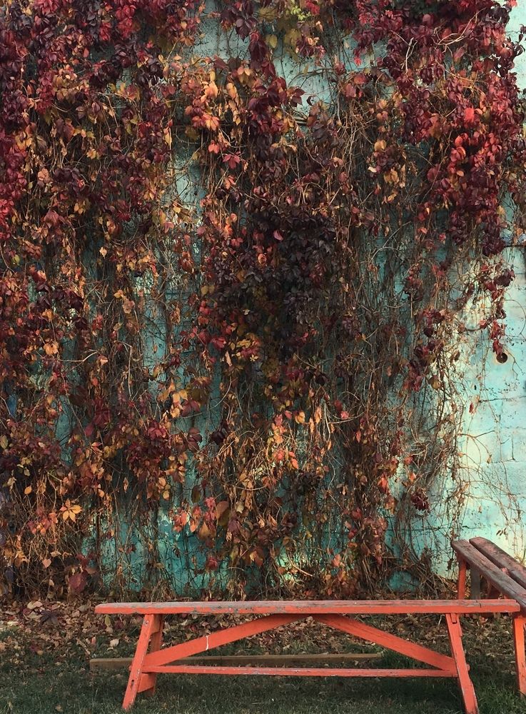 Photograph by Natalya Царева