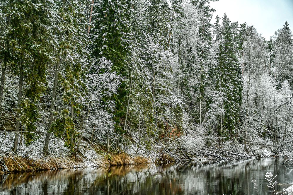 Photograph by AVIC A.M.