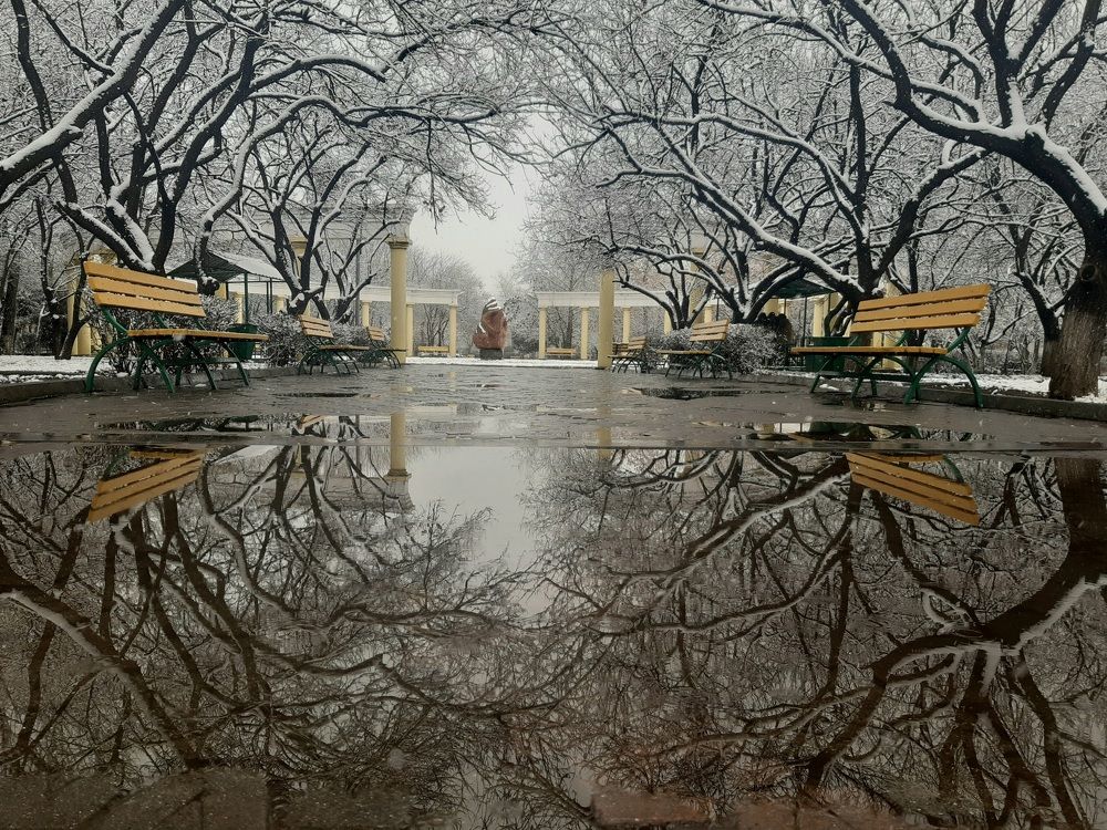 Photograph by Марина Рафаелян