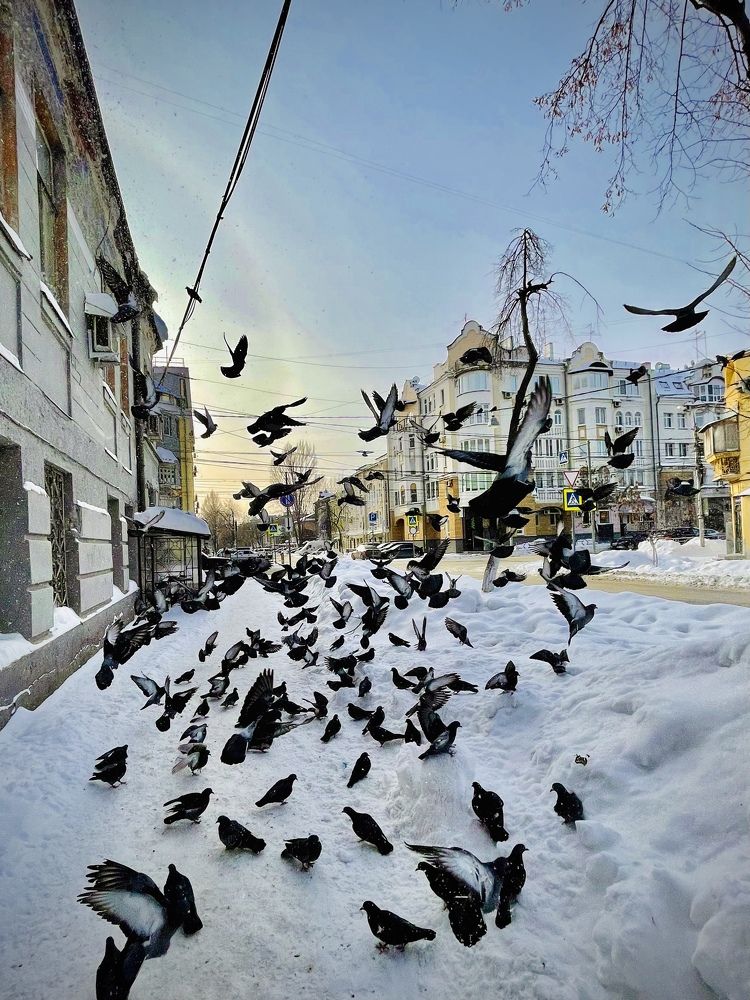 Photograph by Елена Ураксина