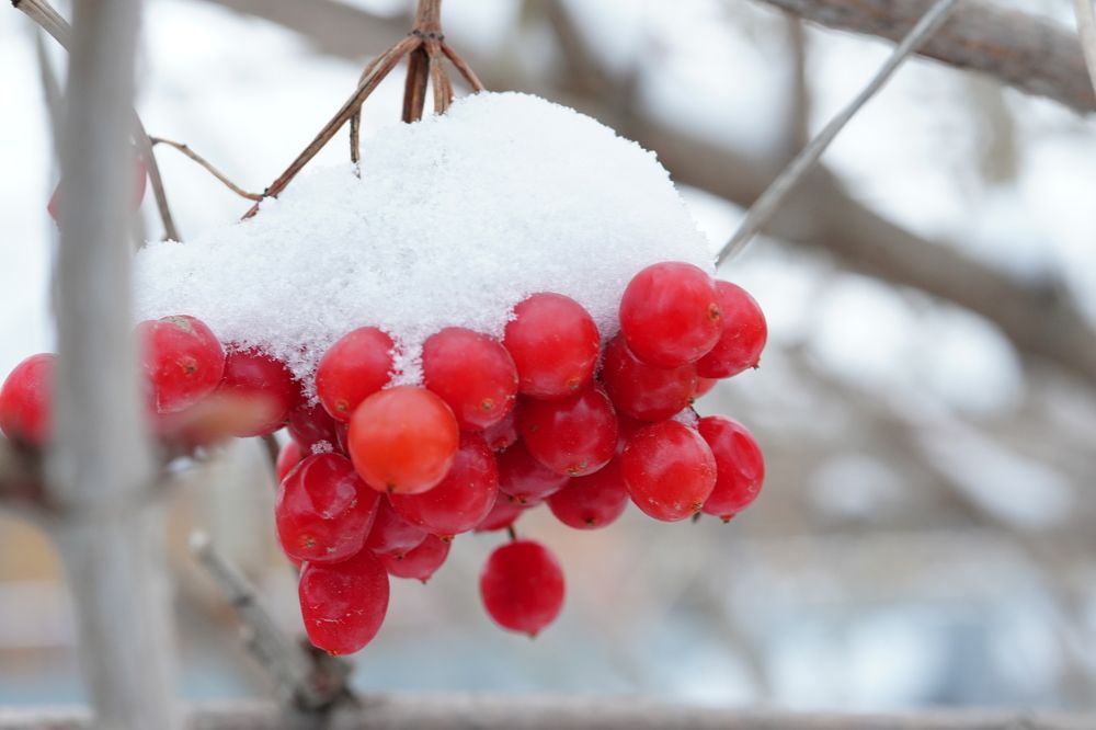 Photograph by Николай Холод