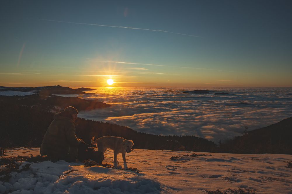 Photograph by Daniel Horvat