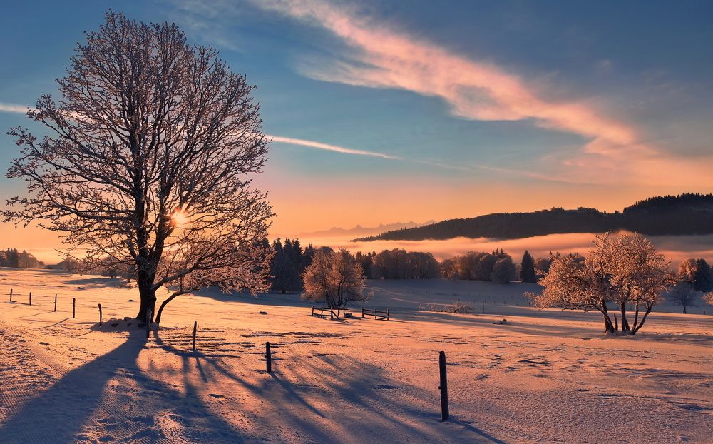 Photograph by Elena Wymann