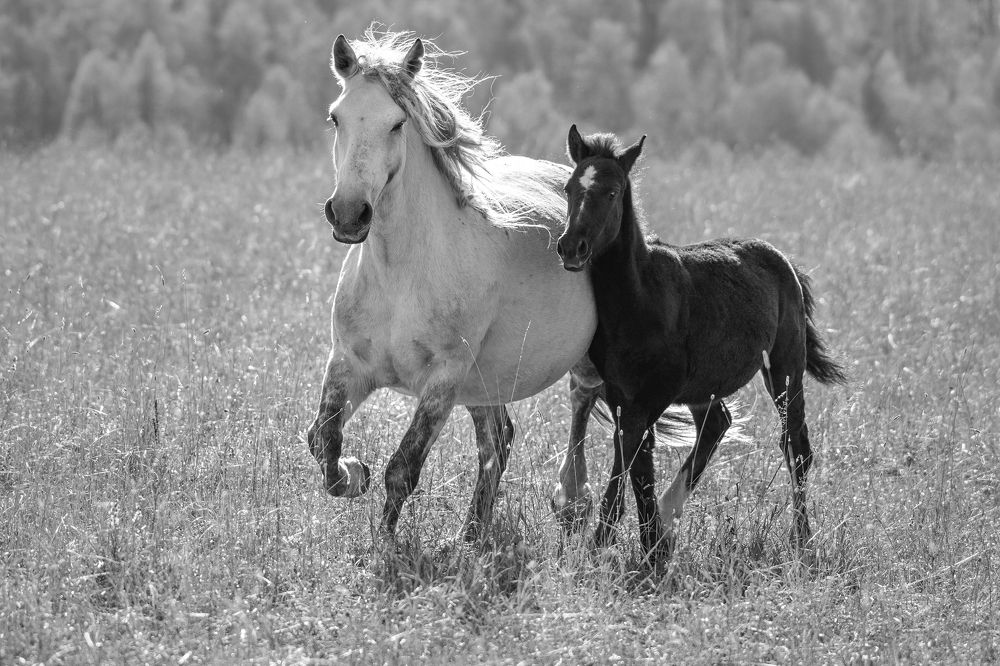 Photograph by Евгений Санин