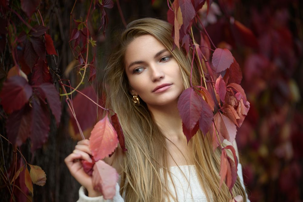 Photograph by Дмитрий Ламшин