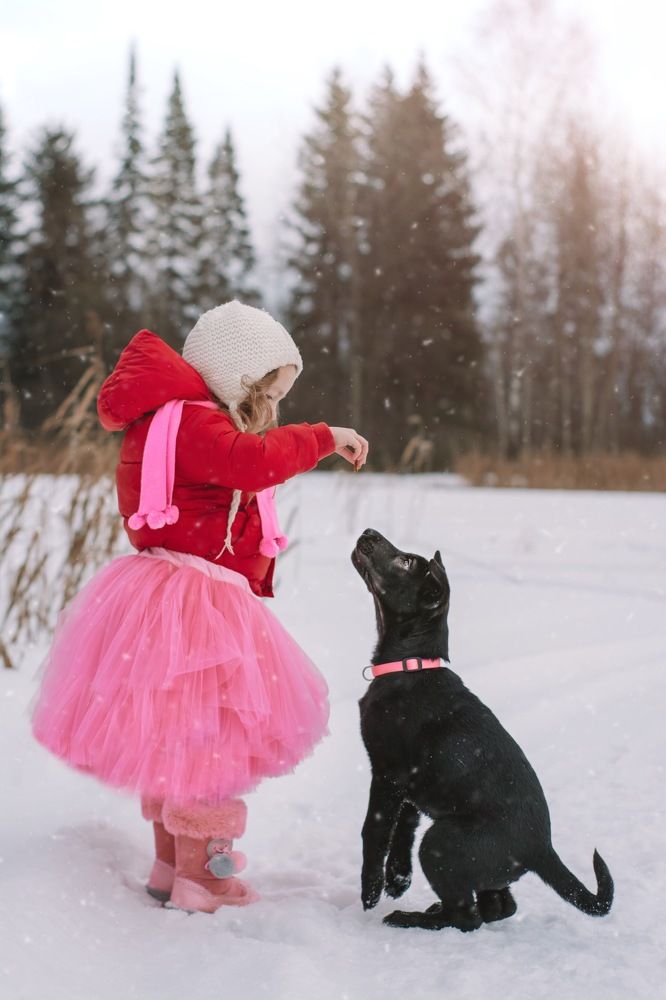 Photograph by Альбина Баташова