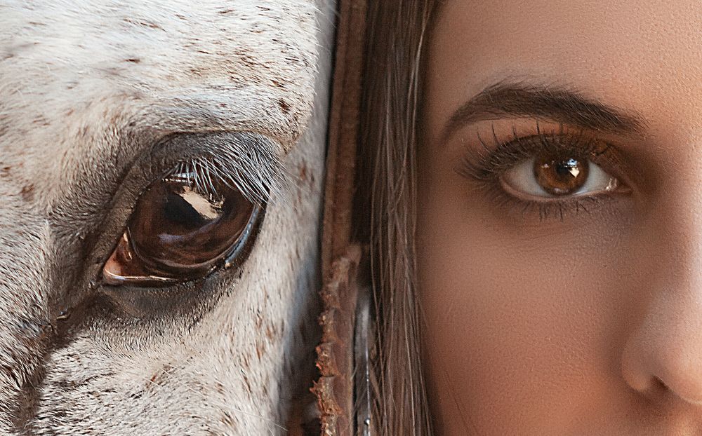 Photograph by Victoria Castellanos