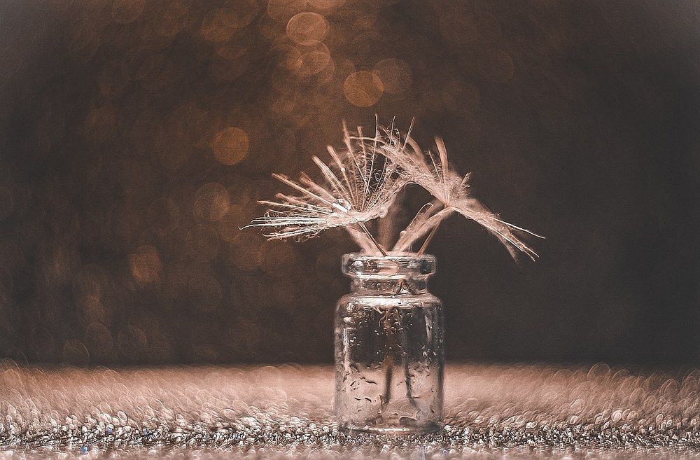 Photograph by Наталия Табоякова