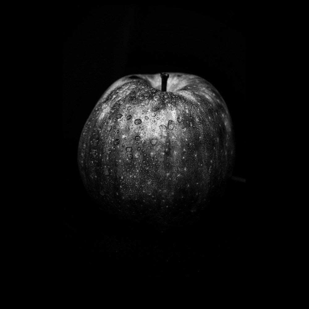 Photograph by Mosquera Gindele