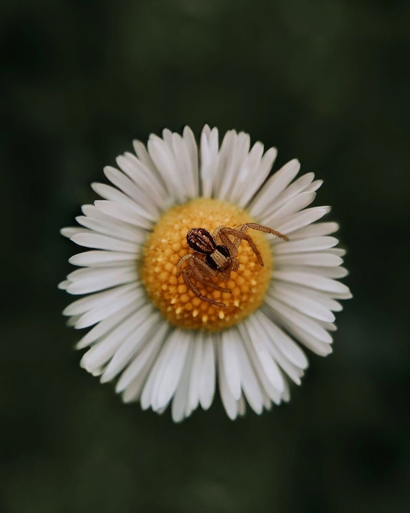 Photograph by Ирина Львова