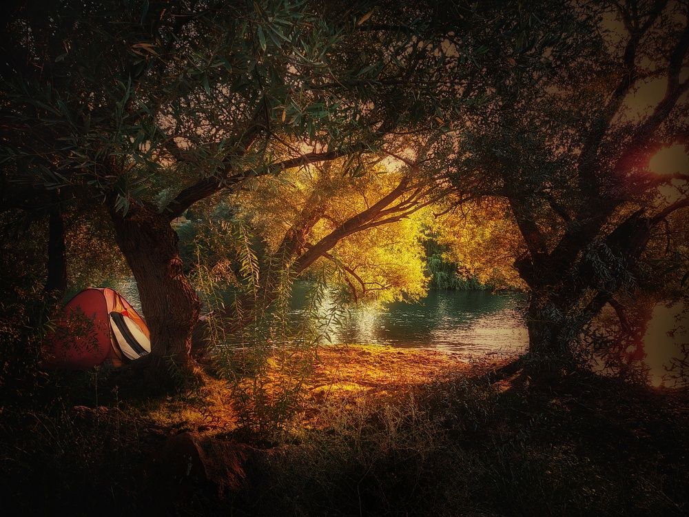 Фотография автора Ebrahim Saeedi