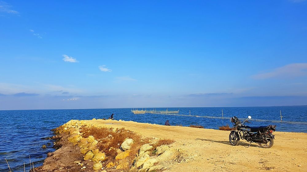 Photograph by Екатерина Маградзе